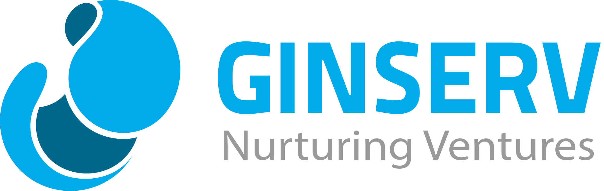Ginserv logo